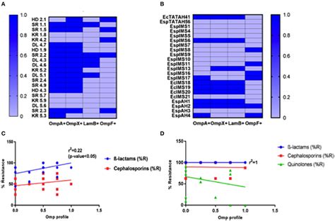 Frontiers Antibiotic Resistance Profile Outer Membrane Proteins