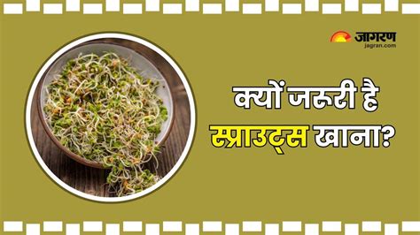 पोषण का पावर हाउस हैं Sprouts जानिए क्यों डाइट में शामिल करना है जरूरी Benefits Of Eating