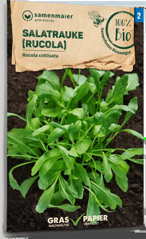 Samen Maier Bio Salatrauke Rucola 1 Packung Bloomling Schweiz