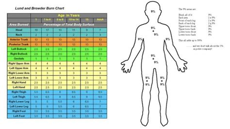 Burn chart | Pediatrics, Periodic table, Chart