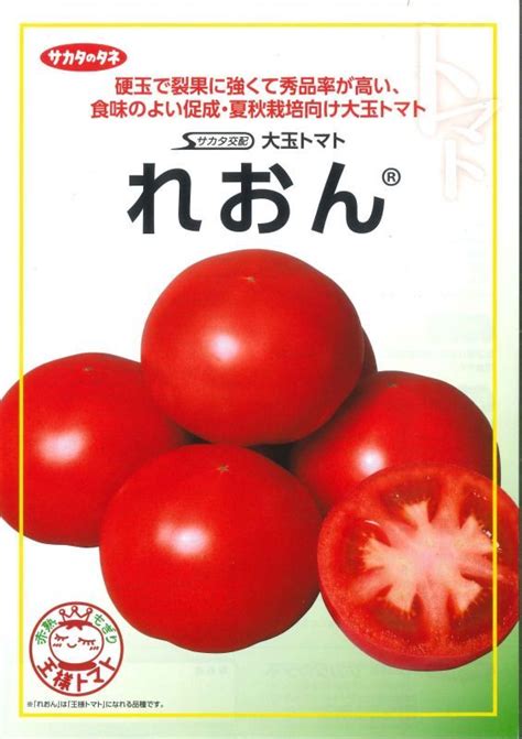 送料無料 トマト大玉トマト れおん 1000粒 株サカタのタネ野菜種大玉トマト・桃太郎系・中玉トマト・ミニトマトグリーンロフト