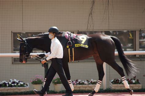 4月9阪神競馬場パドック写真【9レース・忘れな草賞・マスクトディーヴァ＆ラレーヌデリス】 鼬の一口馬主復帰と拉麺なブログ