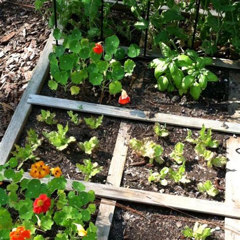 22 Square Foot Gardening Method Ideas Worth To Check Sharonsable