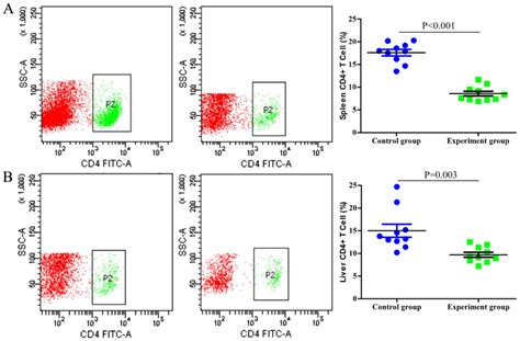 Increase In Cd4foxp3 Regulatory T Cell Number And Upregulation Of The