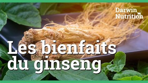 D Couvrez Tous Les Bienfaits Du Ginseng Youtube