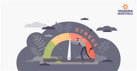 Negative Impacts Of Stress On Physical And Mental Health