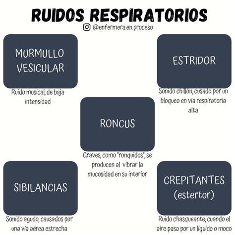 Ruidos respiratorios enfermera en proceso Enfermería uDocz