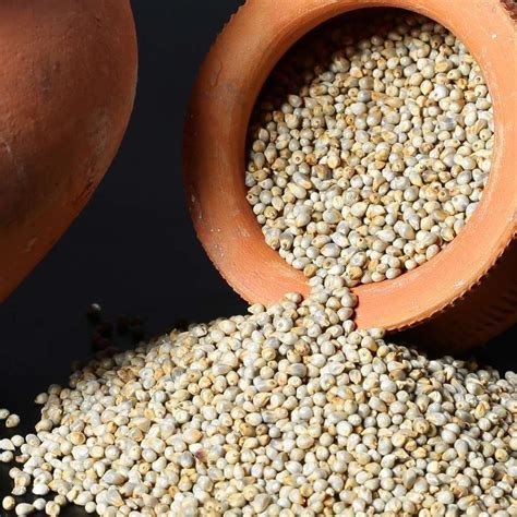 Organic Millet In Chennai Latest Price Mandi Rates From Dealers In