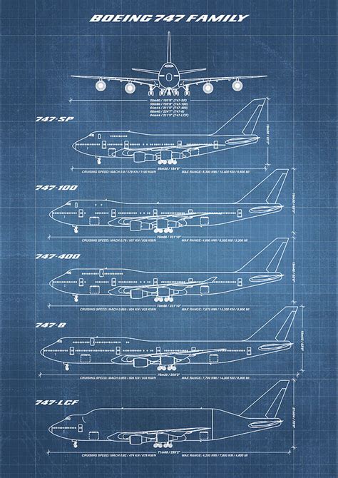 Boeing 747 Family Blueprint - light blue Drawing by Ryan Steven ...