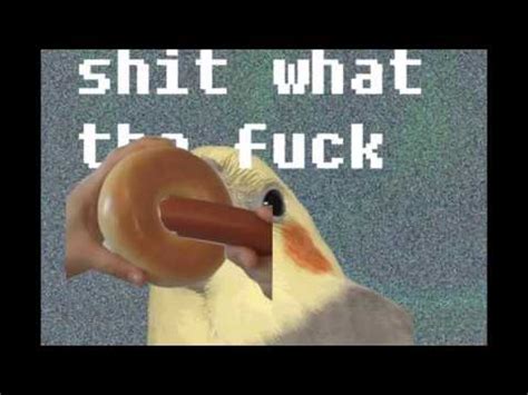 Gay Bagel Gaybagel Know Your Meme