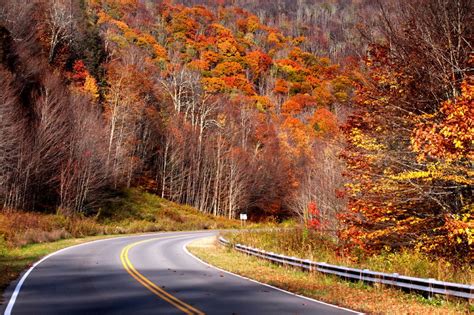 Non Owners Sr22 South Carolina Sr22 Quotes In Minutes
