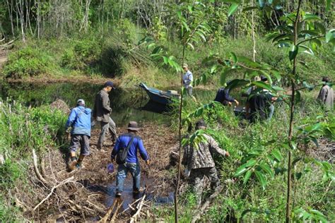 Perhutanan Sosial Sebagai Kunci Menuju Pembangunan Berkelanjutan Di