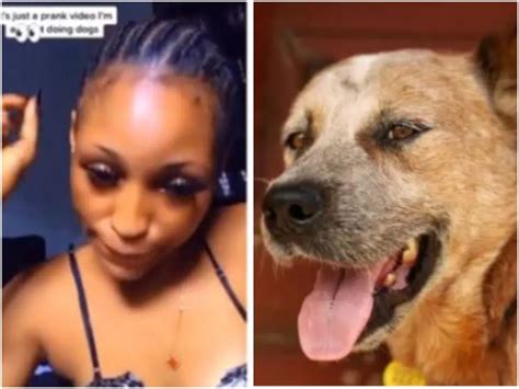 Lady Who Slept With Dog Captured In Viral Video Reportedly Dies Of