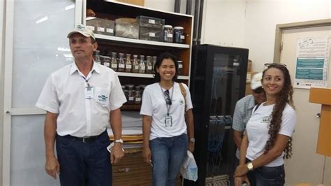 Escola Realiza Visita T Cnica Embrapa Programa Escola Verde