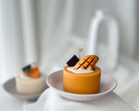 PRODUCT CARE | Scent Bakery