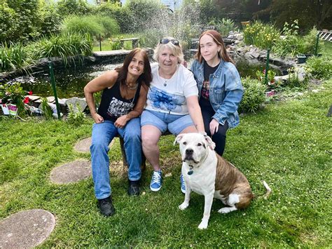 Our Approach & Services — Good Vibrations