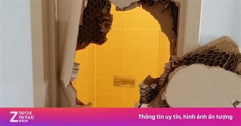 Bi hài chuyện VĐV phá cửa toilet tại Olympic Sochi Thể thao Thế giới