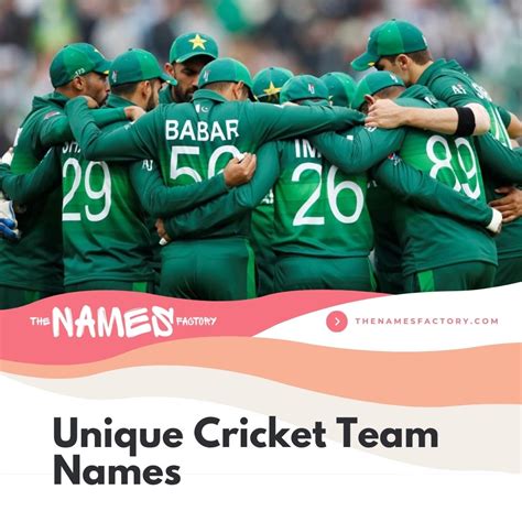 Top Cricket Team Names For Your Squad