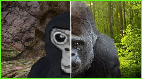 Gorilla Tag But Its Realistic Youtube