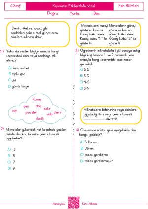 4 Sınıf Fen Bilimleri Mıknatıs Yaprak Test Derslig