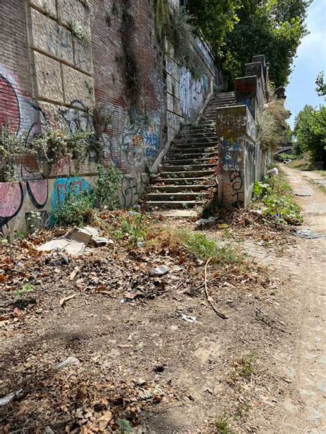 Pulizie E Manutenzione Straordinaria Delle Banchine Del Fiume Tevere