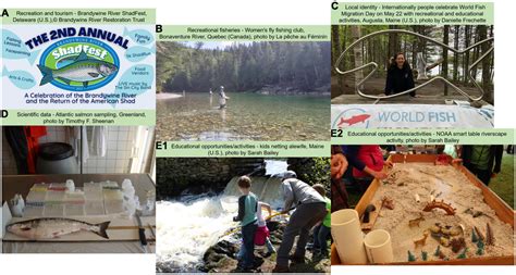 Frontiers The Diadromous Watersheds Ocean Continuum Managing