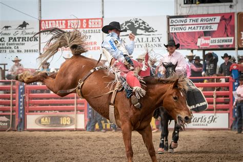 Blog 3 — Battle Born Broncs