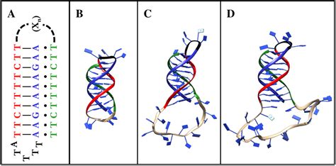 Applied Sciences Free Full Text Reconstructing The Free Energy