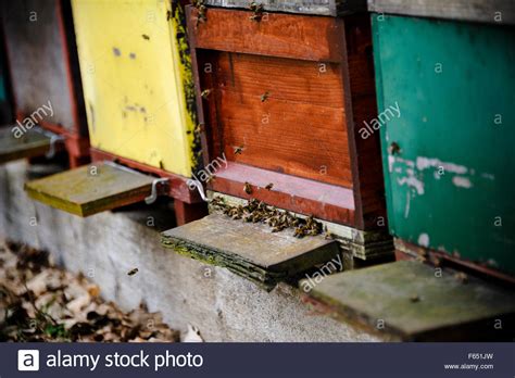 Beehive Hive Hives Bees Colorful Honey Bee Stock Photo Alamy