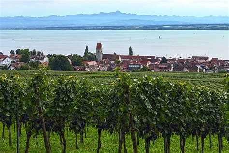 Kommsch mit ge Hagnau auf a weinselige Gäschteausfahrt Landgasthof