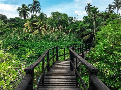 The Ultimate Guide to Tayrona National Park | Beyond my Border