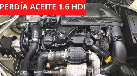 Reparar Perdida De Aceite Hdi Aver A N Citroen Peugeot