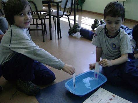 Educação Infantil Elias Moreira Projeto Pequenos Cientistas