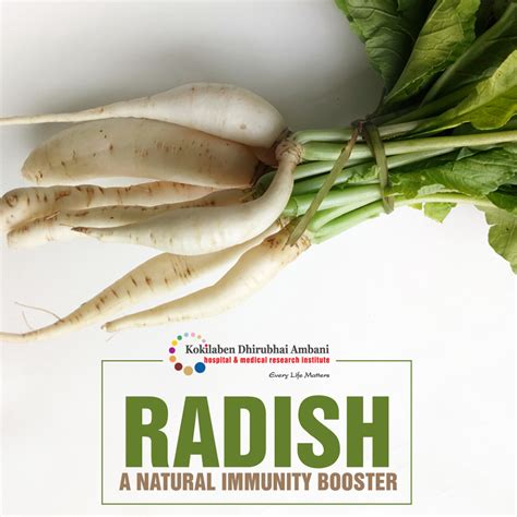 Benefits Of Radish Health Tips From Kokilaben Hospital