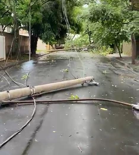 Chuva Derruba Rvores E Causa Estragos Na Segunda Em Piracicaba