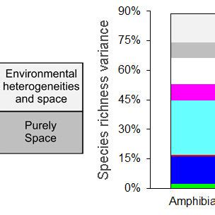 Vertebrate Richness Patterns In The Neotropical Realm Species Richness