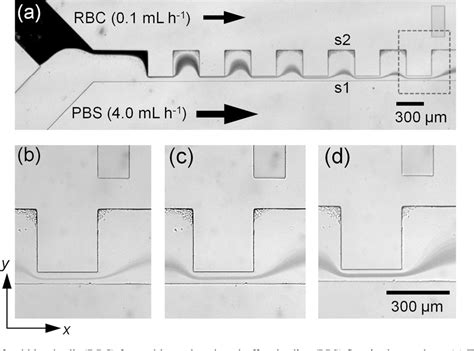 Three Dimensional Hydrodynamic Focusing With A Single Sheath Flow In A