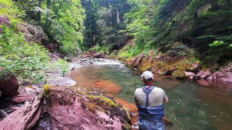 Fly Fishing In France 【 Guided Trips Lodges And Best Info