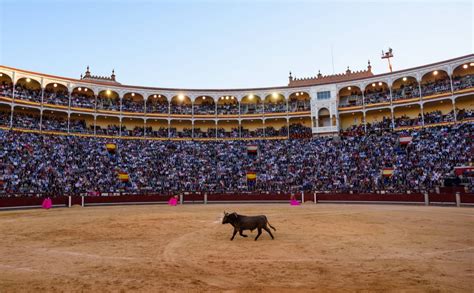 Understanding Spanish Bullfight Rules