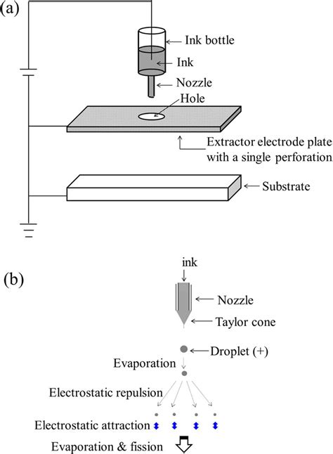 A Schematic Drawing Of Electrospray Es Process B Steps Of