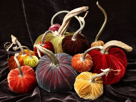 Susan Spindler Designs Gorgeous Velvet Pumpkins