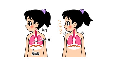 しゃっくりが出るのはなぜ？ ヒト 科学なぜなぜ110番 科学 学研キッズネット