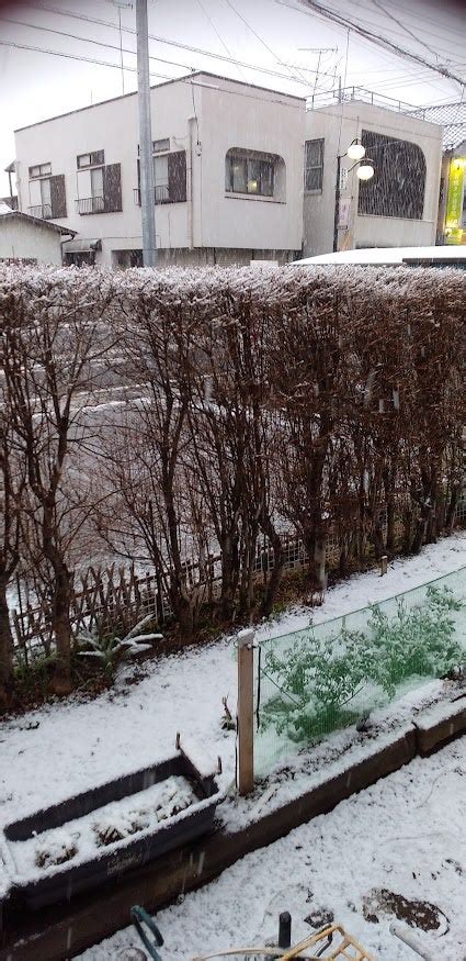 雪が降りました。 気まぐれブログ