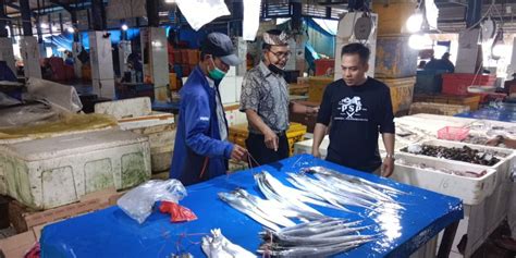 David Ibrahim Harga Ikan Di TPI Palabuhanratu Stabil Jurnal Sukabumi