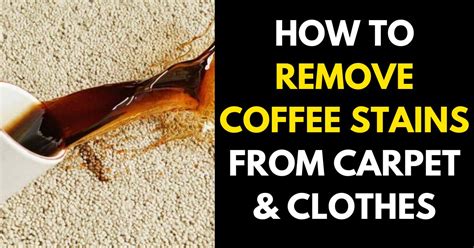 How To Remove Coffee Stains From Carpet And Clothes StylePersuit