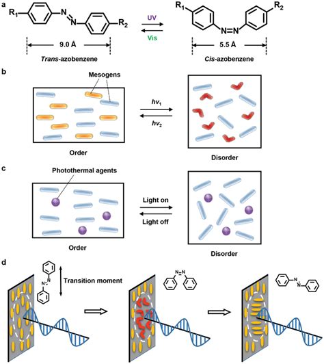 A Reversible Transcis Photoisomerization Of Azobenzenes Bc