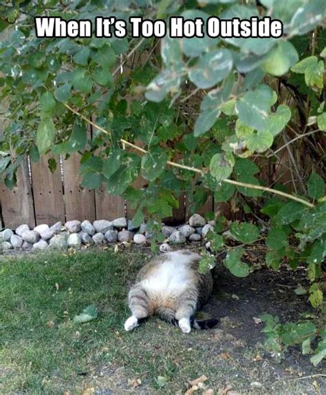 Signs It S Too Damn Hot Outside GALLERY