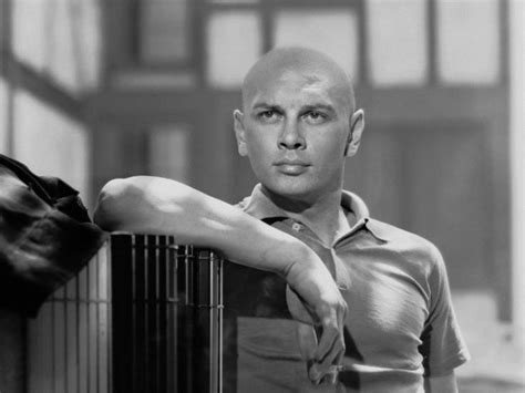 Yul Brynner The First Bald Hollywood Heart Throb Skalp Yul Brynner