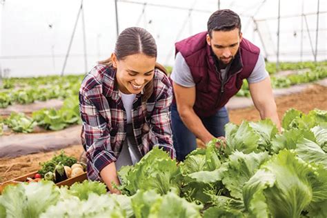 Agriculture Courses In New Zealand Farming Courses Nz Study Pathway