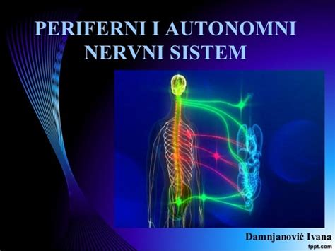 Periferni i autonomni nervni sistem